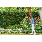 Триммер аккумуляторный BOSCH EasyGrassCut 23