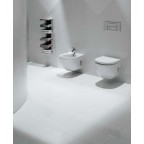 Унитаз Roca Meridian-N Compacto, 346248000 + 8012AC004